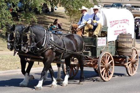 Posse Chuck Wagon Horses 